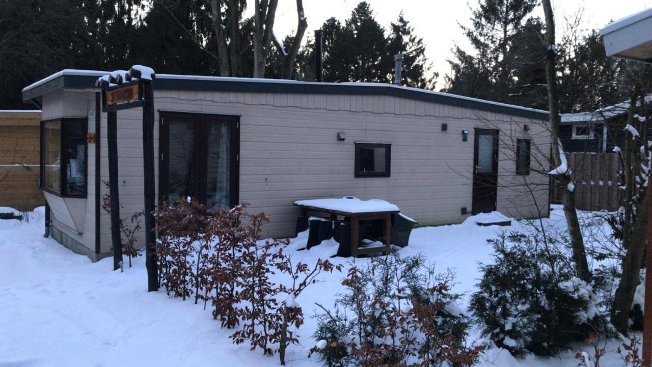 De Eekhoorn Villa Putten Exteriör bild