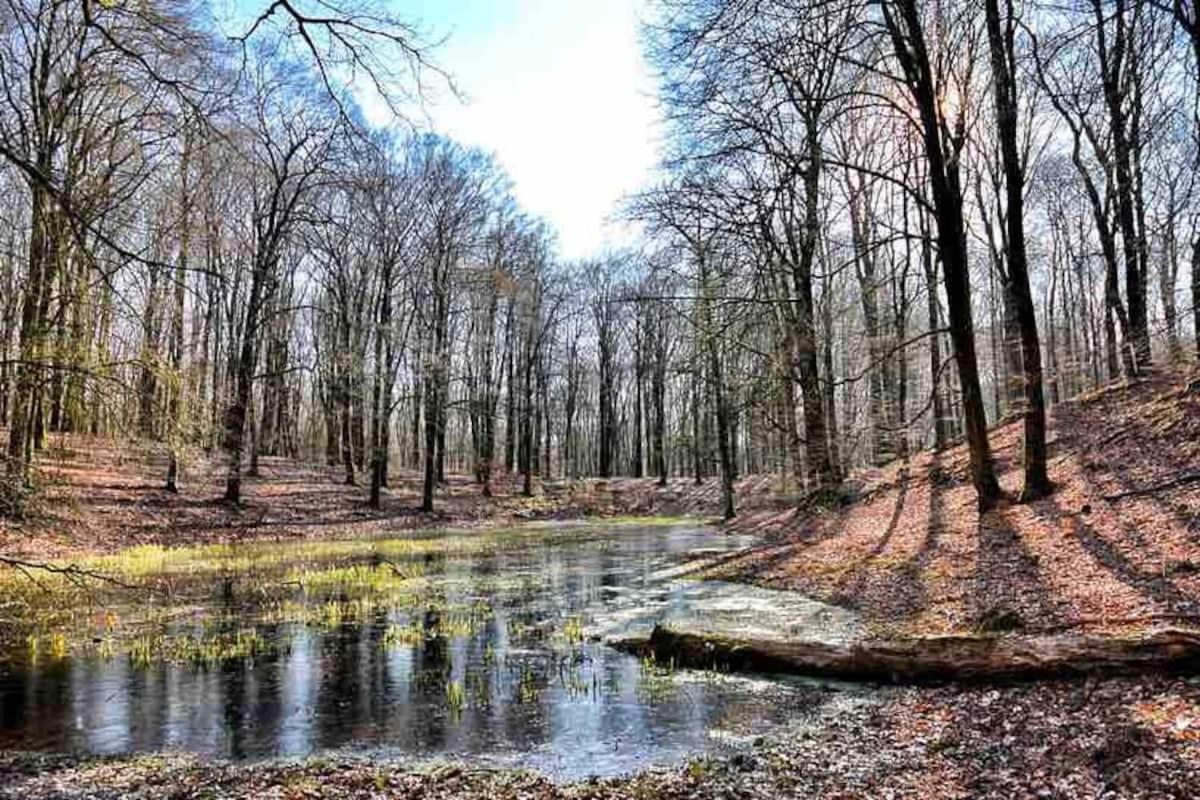 De Eekhoorn Villa Putten Exteriör bild